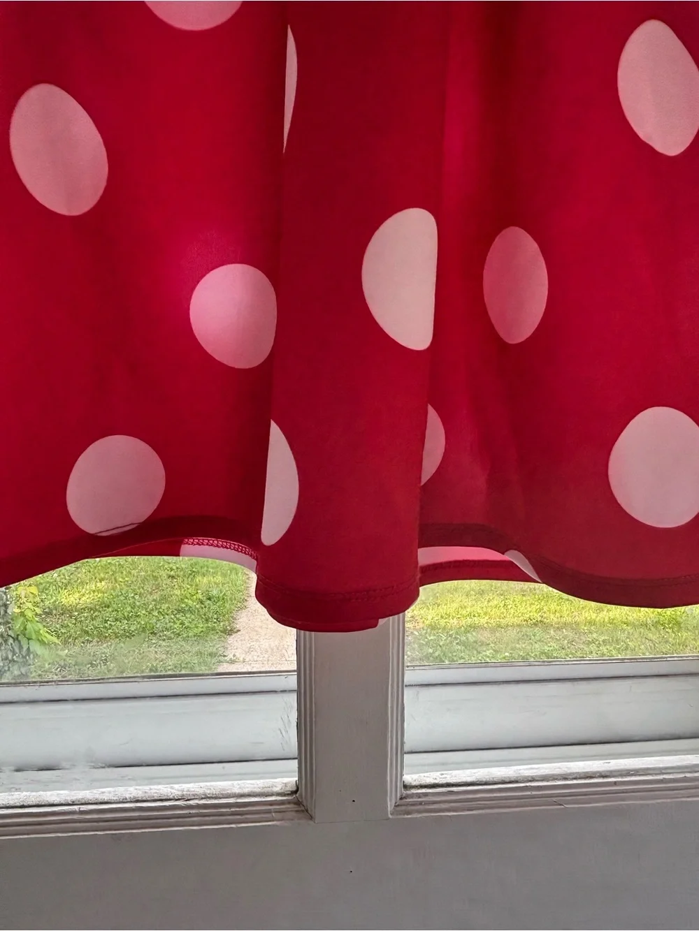 ✨ HOST PICK✨ Disney Adult Minnie Mouse Dress & Ears Costume - Picture 6 of 12